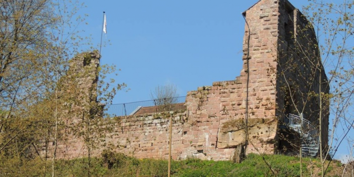 schildmauer_rettung_2.jpg